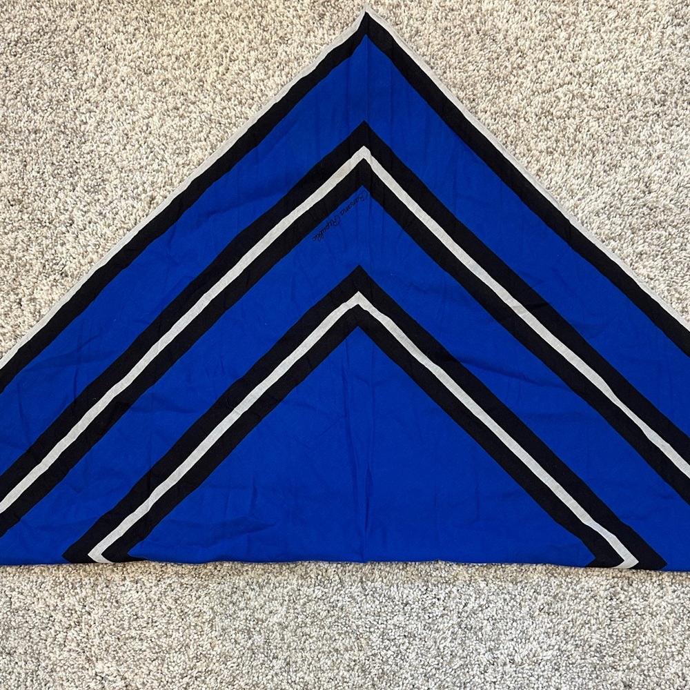 Banana Republic Blue and Black Striped Scarf